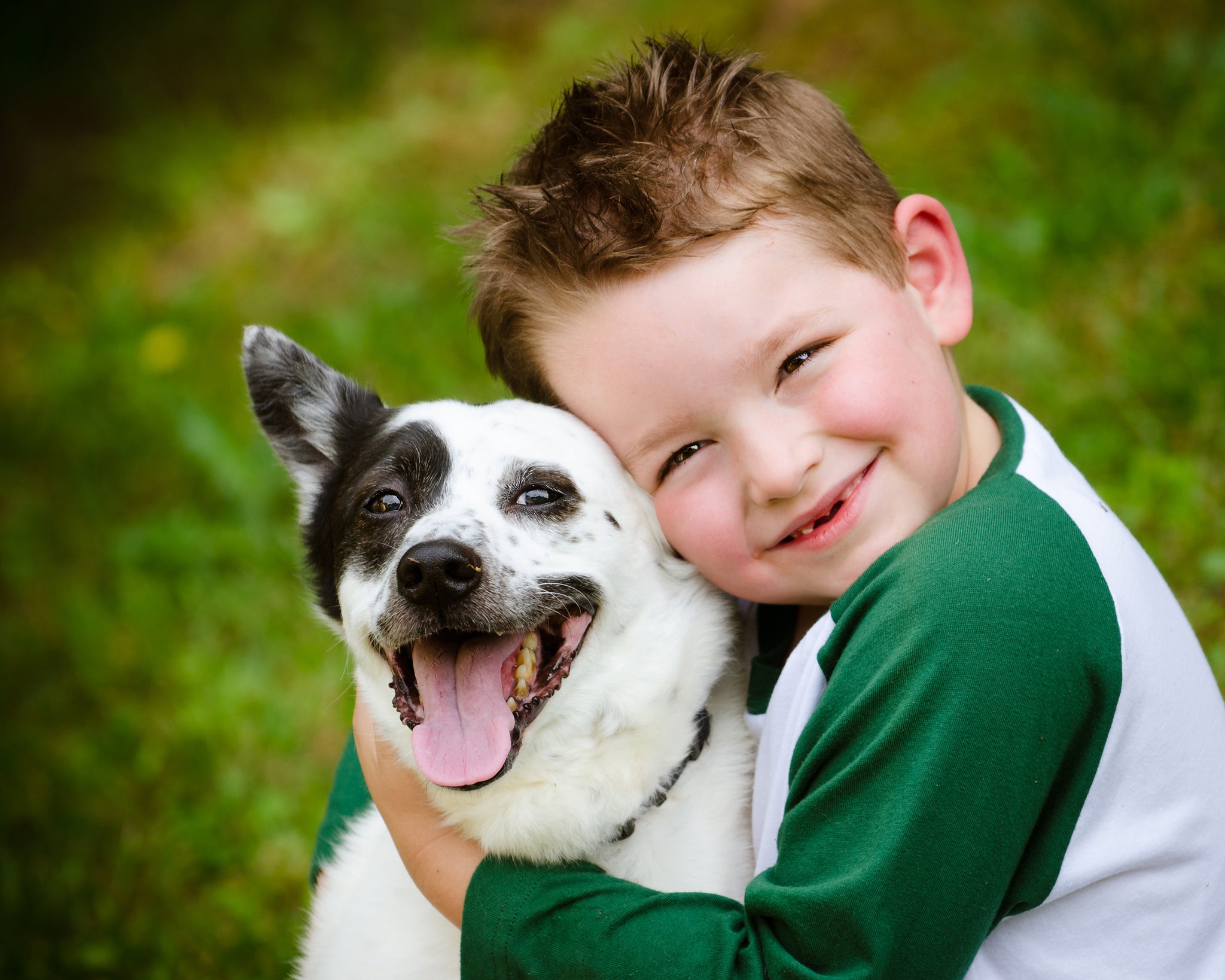 How Pets Help Children Navigate Anxiety