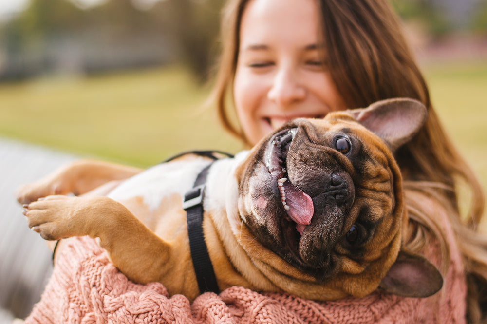 The Link Between Pets and Stress Relief