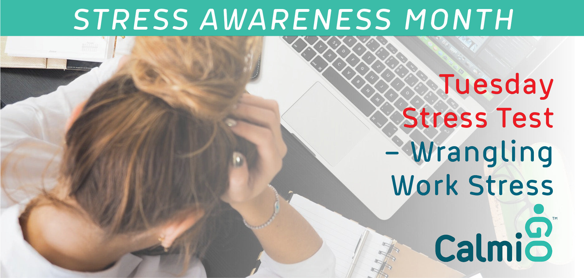 April 2 – Stress Awareness Month Tuesday Stress Test – Wrangling Work Stress