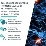 CalmiGo Device Google